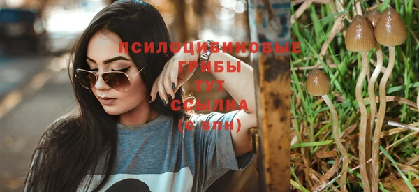 прущая мука Михайлов