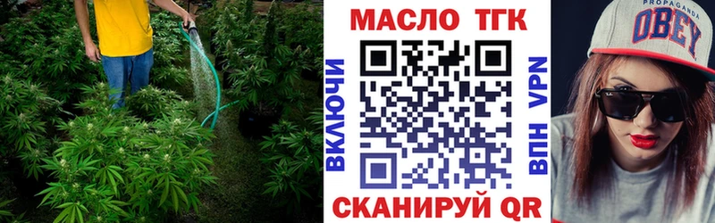 продажа наркотиков  omg зеркало  Дистиллят ТГК Wax  Яхрома 
