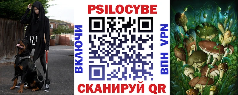 omg ссылка  Яхрома  Псилоцибиновые грибы Psilocybe  продажа наркотиков 